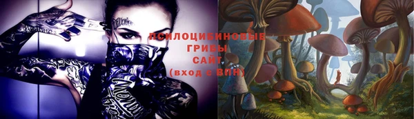 герыч Покровск