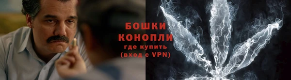 дурь Покачи