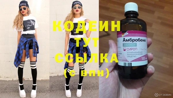 дурь Покачи